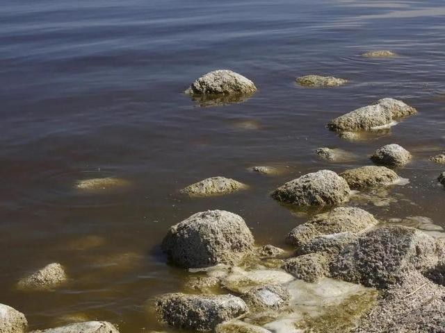 cod是什么污染物，cod測(cè)定儀如何使用？