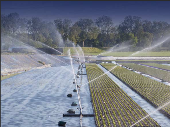 氨氮：水中的“雙刃劍”，你了解多少？