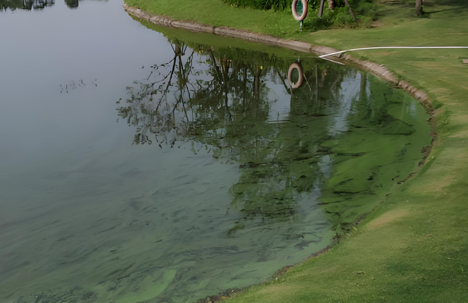 水質(zhì)砷超標(biāo)的危害有哪些？