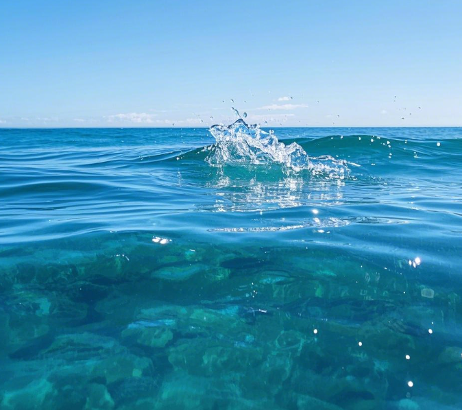 總磷測定儀的選購指南！